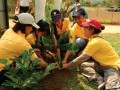 The Permanent Reforestation Project in Celebration of the 50 ... Image 8