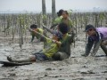 The Mangrove Reforestation and Rehabilitation Project Image 2