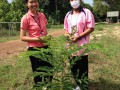 The Thai Literary Botanical Garden Project at Suwannaphumpit ... Image 5
