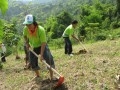 โครงการกล่องเขียวขจีและค่าย “ผู้นำเยาวชนคนรักษ์ป่า” Image 7